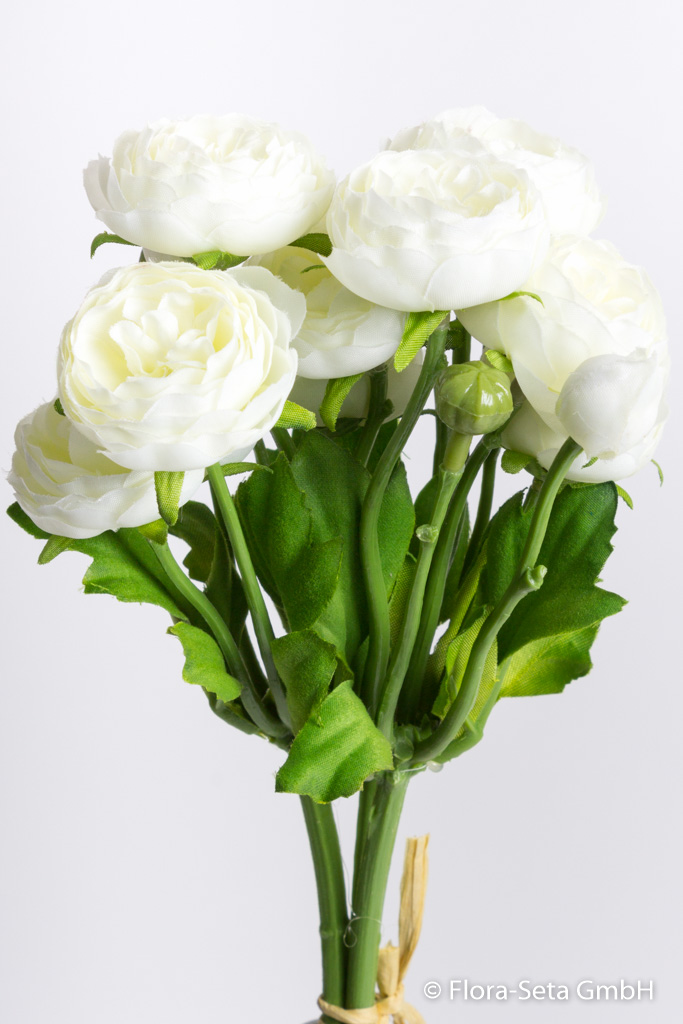 Ranunkelbündel mit 3 Stielen 9 Blüten und 6 Knospen Farbe: creme-weiß