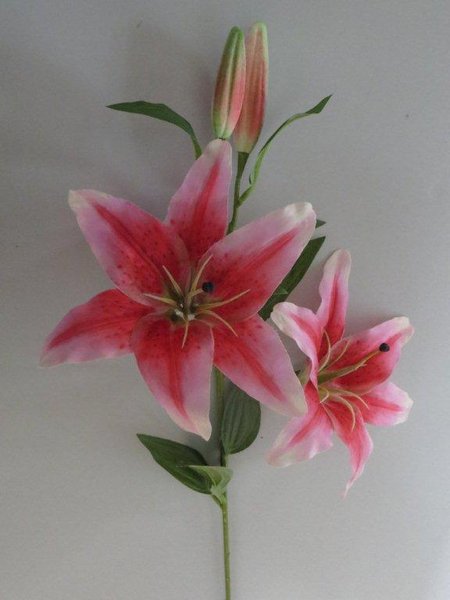 Lilie groß Farbe:hellpink-dunkelpink