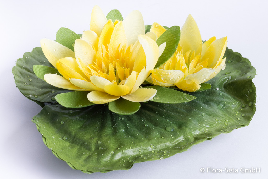 Seerose mit 2 Blüten und Wassertropfen, schwimmfähig Farbe: gelb