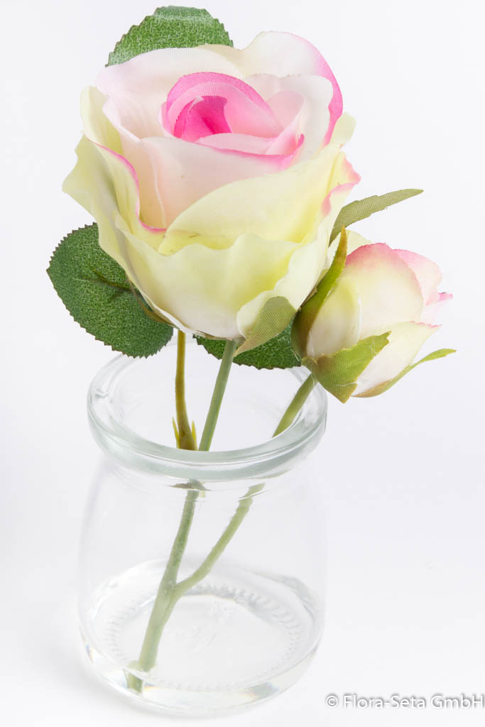 Rose mit Knospe im Glas Farbe: creme-pink