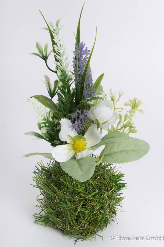 Cosmea-Frühlingsblumenpick im Grassockel, Farbe: creme-weiß